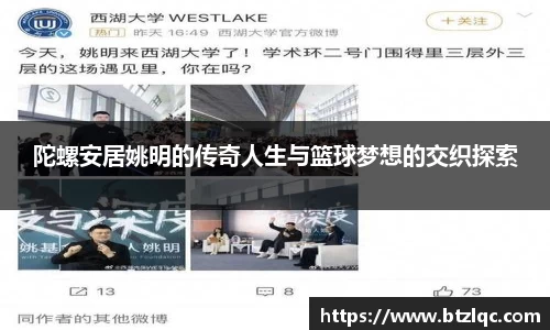 陀螺安居姚明的传奇人生与篮球梦想的交织探索